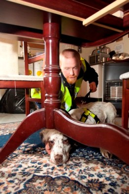 Dog handler Alan Johnson and Archie in action.