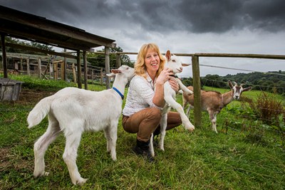 Carol Allen of Llanvalley Natural Products will be at Llangollen Food Festival later this year. With Billie, Phyllis and Dilys looking through the fence.