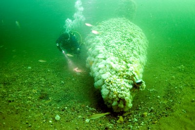 Resurgam with anode on propeller DSC_6948 web 2