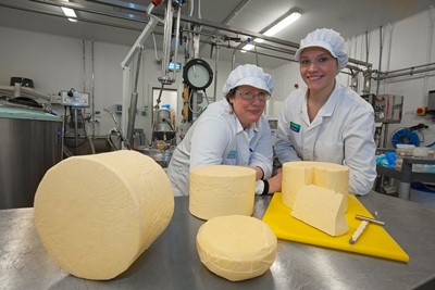 CADWYN CLWYD. Pictured are Research and Development technologists Julia Skinner and Angharad Jones who  have developed a range of new dairy products  at Coleg Cambria, LLangefni .